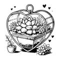Assortment of succulents in a heart shaped glass case Royalty Free Stock Photo